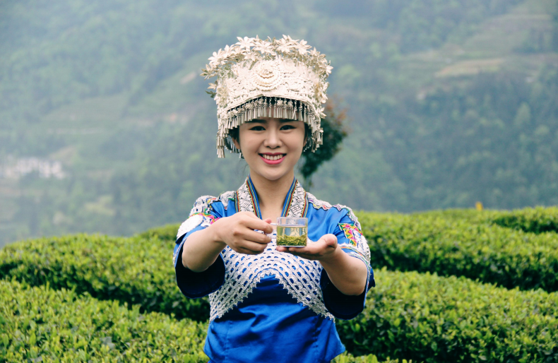 受欢迎的富硒茶玉露公司