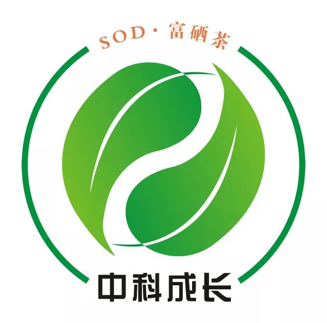 什么地方生产高山富硒茶