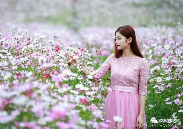 什么地方生产高山富硒茶