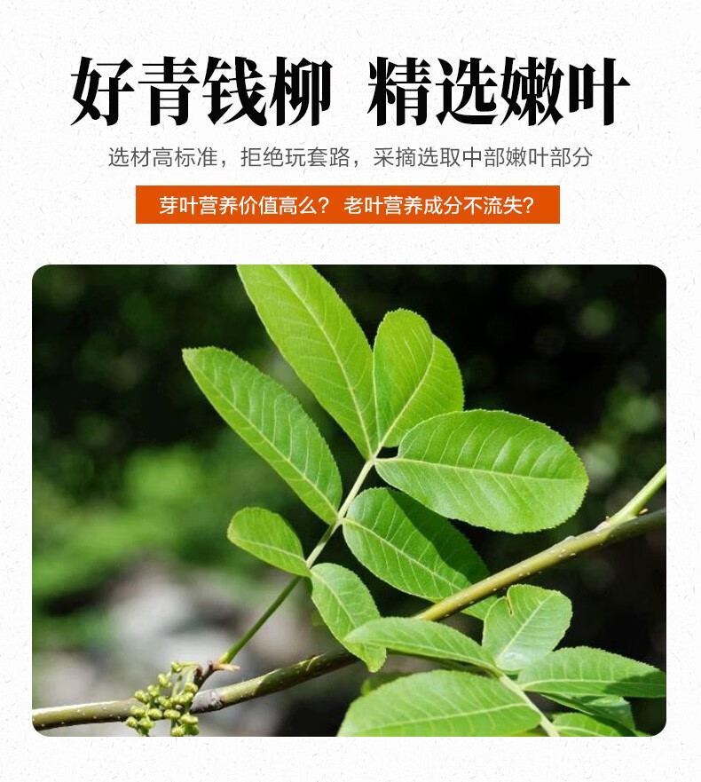 富硒青钱柳黄精茶珍吃法(富硒青钱柳黄精茶珍吃法)-硒宝网