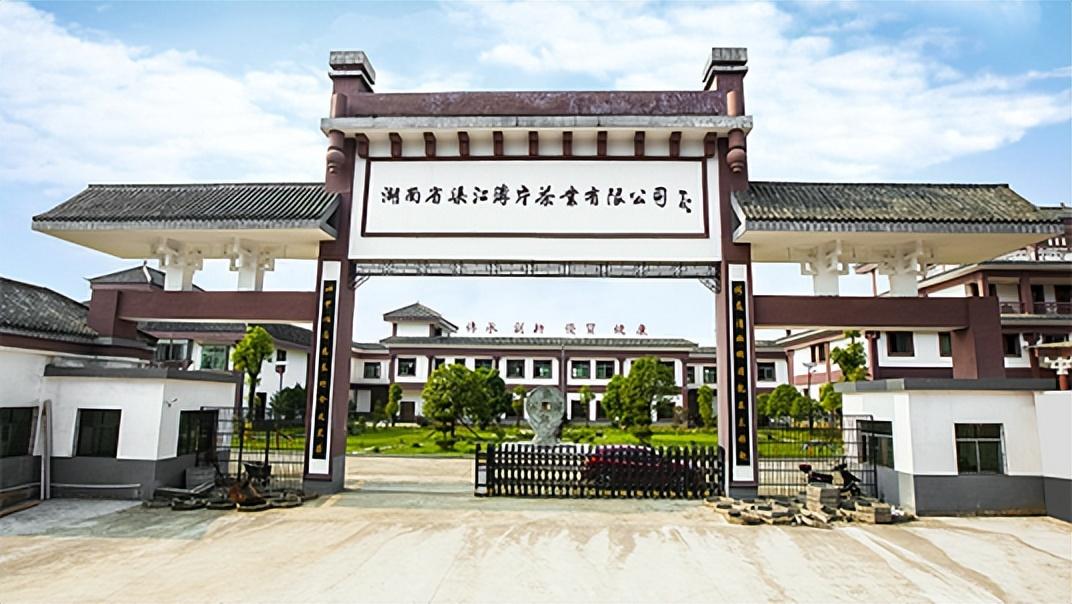 原生富硒茶 红茶 黄茶