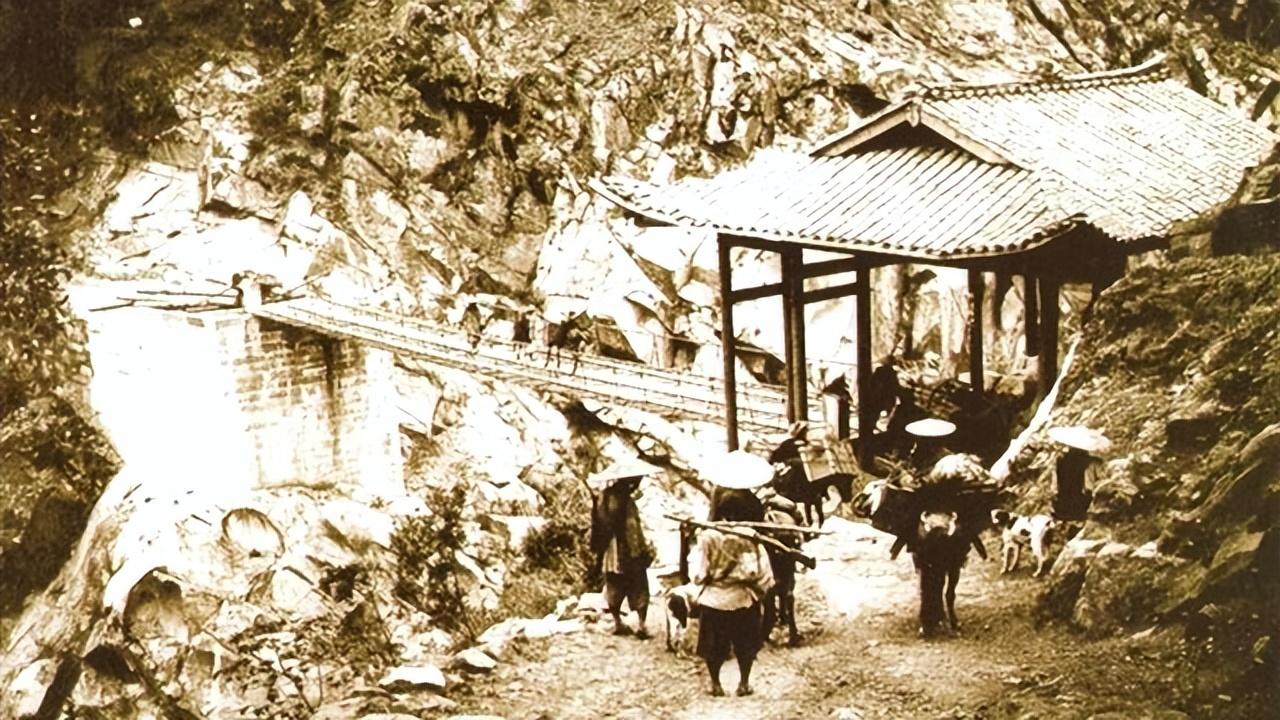 原生富硒茶 红茶 黄茶