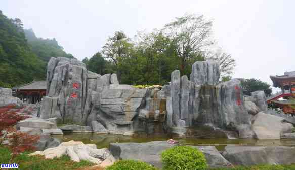 什么茶叶含硒元素多-什么茶叶含硒元素多一些