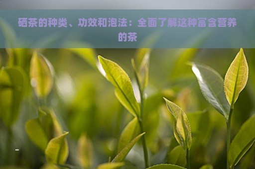 富硒茶属于黑茶还是绿茶(绿茶茶黑茶属于富硒类吗)-硒宝网