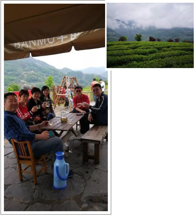 紫阳明前富硒茶2022