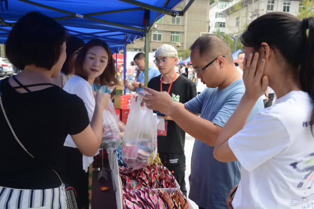 紫阳富硒茶采摘现场视频