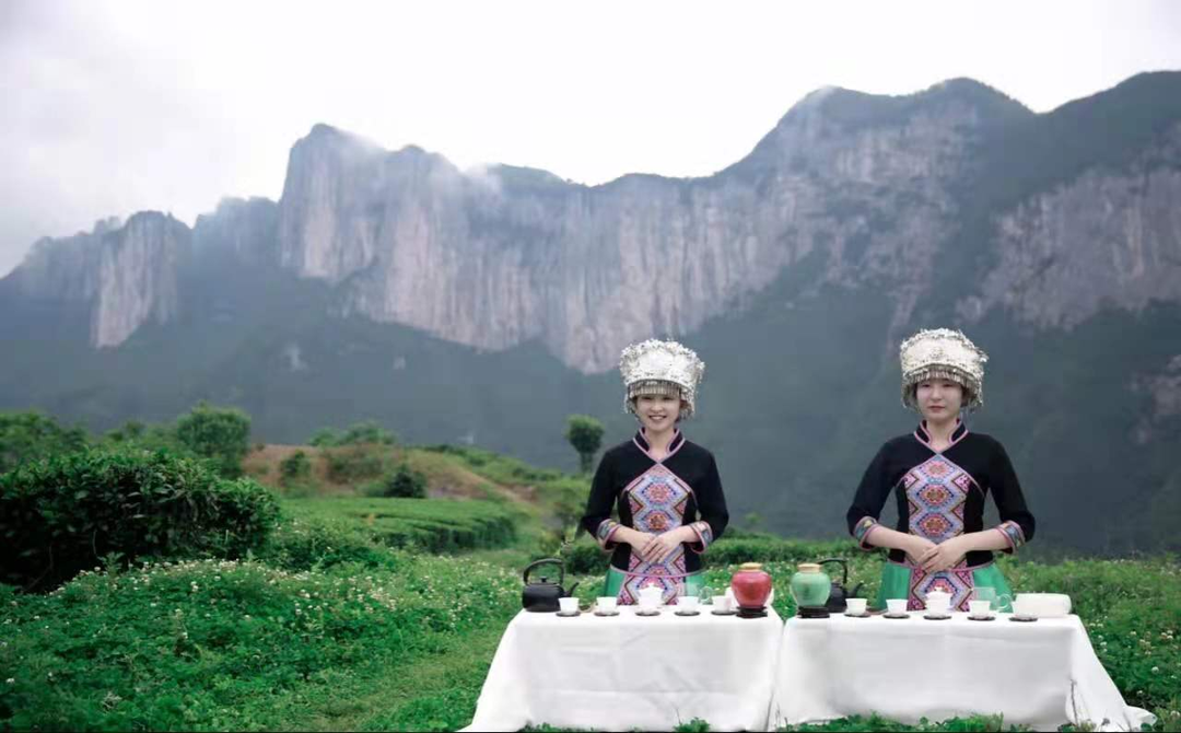 武汉恩施富硒茶怎么收费