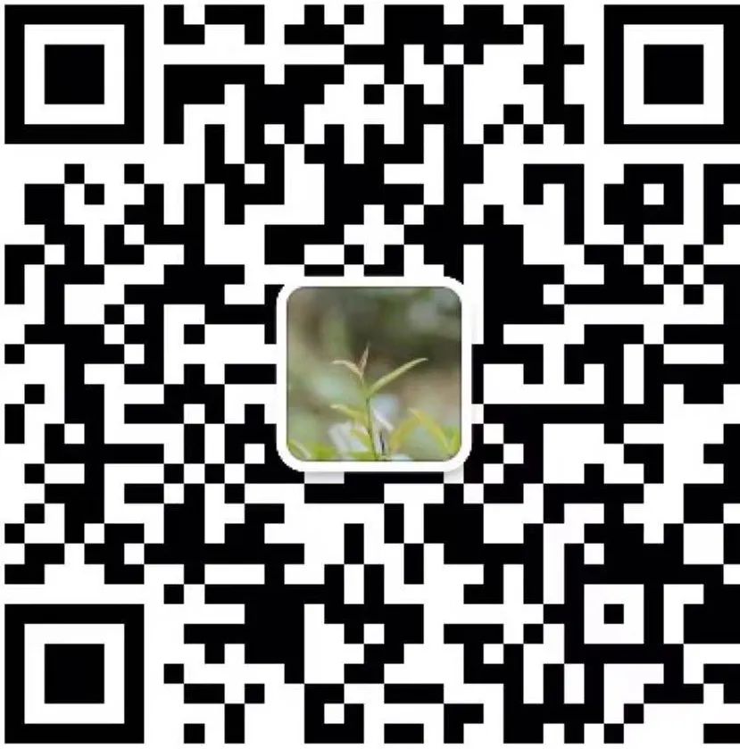 武汉恩施富硒茶怎么收费
