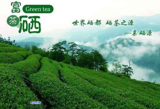 富硒茶的产地有哪些地方，揭秘富硒茶的产地：哪里能品尝到最纯正的富硒茶？