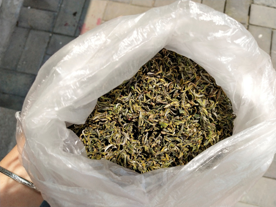 仙寓山富硒茶属于什么茶