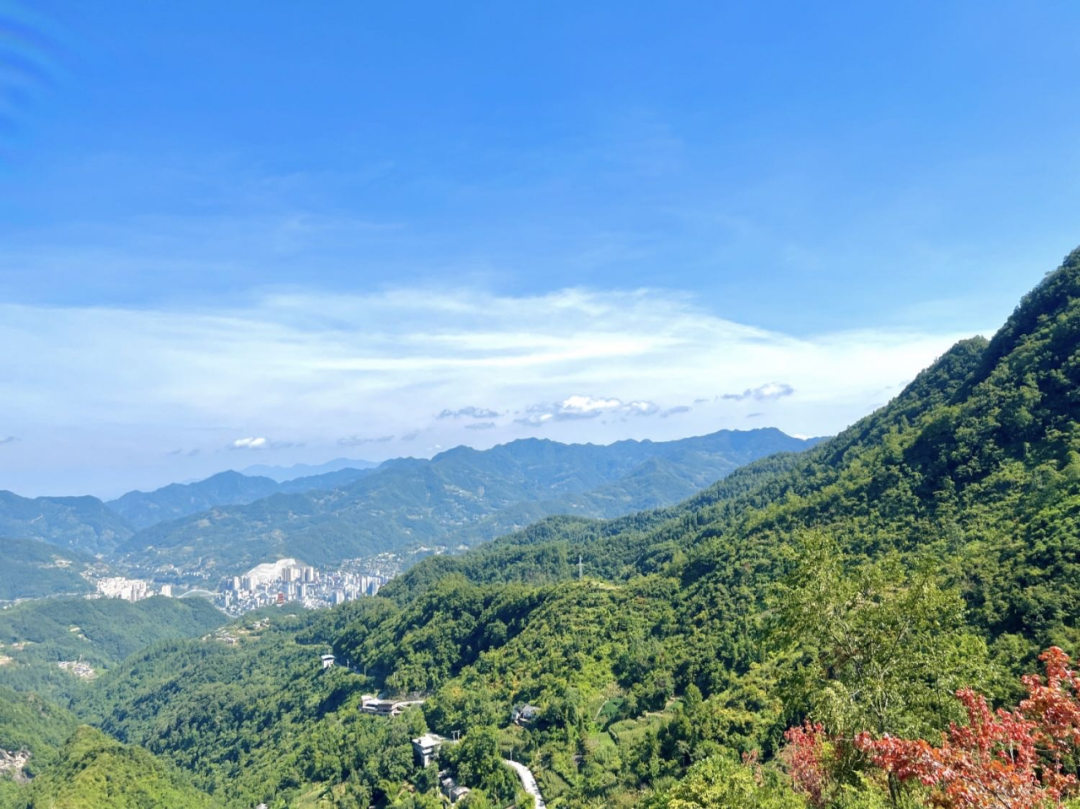 紫阳25万亩富硒茶开园
