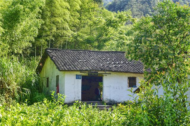 石台富硒茶在哪里生产好