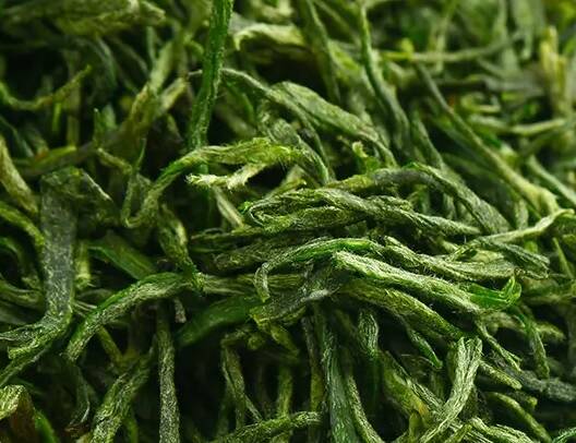 紫阳毛尖茶的功效
