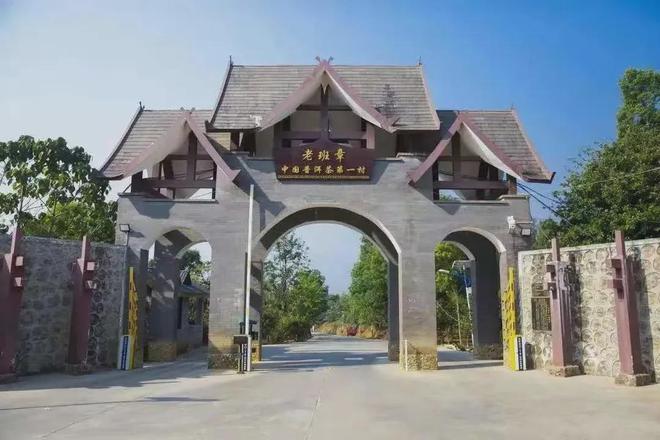 富硒高山云雾普洱茶价格(高山云雾茶的价格)-硒宝网