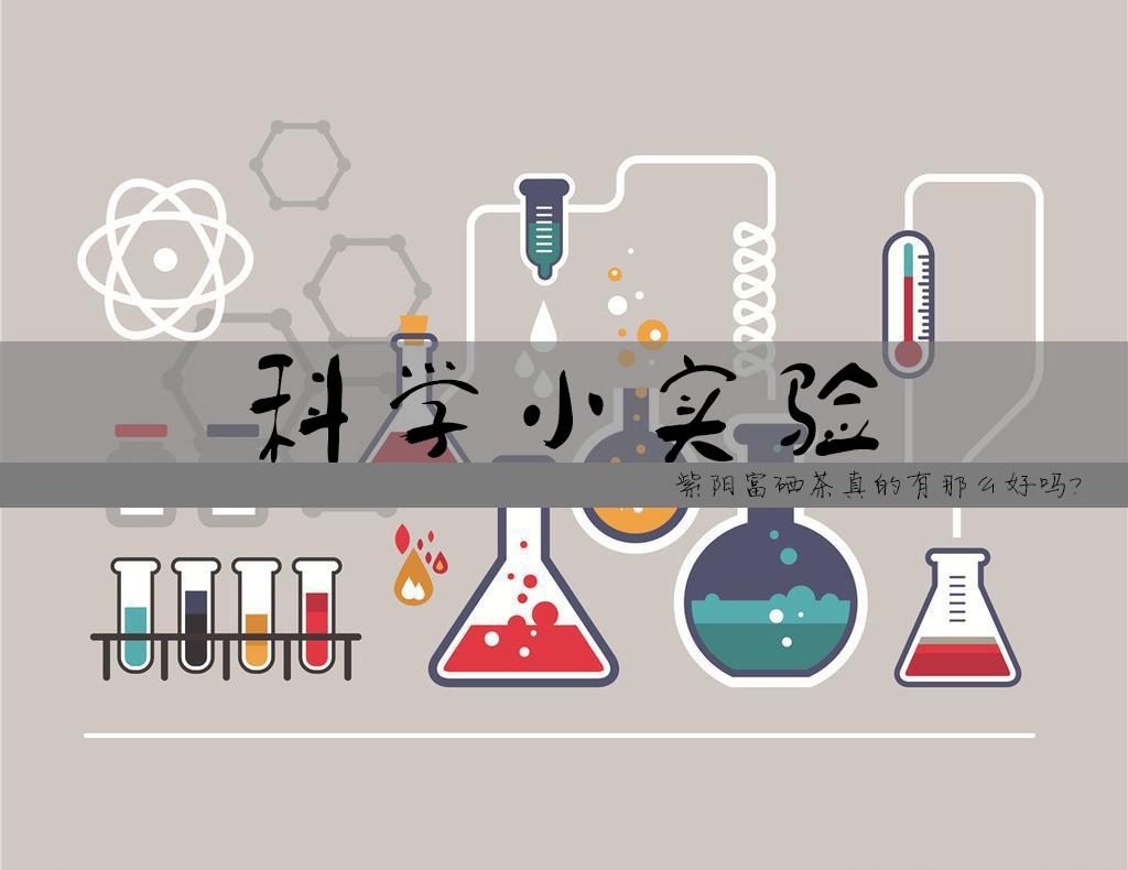 紫阳富硒茶销路如何样呀