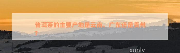普洱茶的主要产地是云南、广东还是贵州？