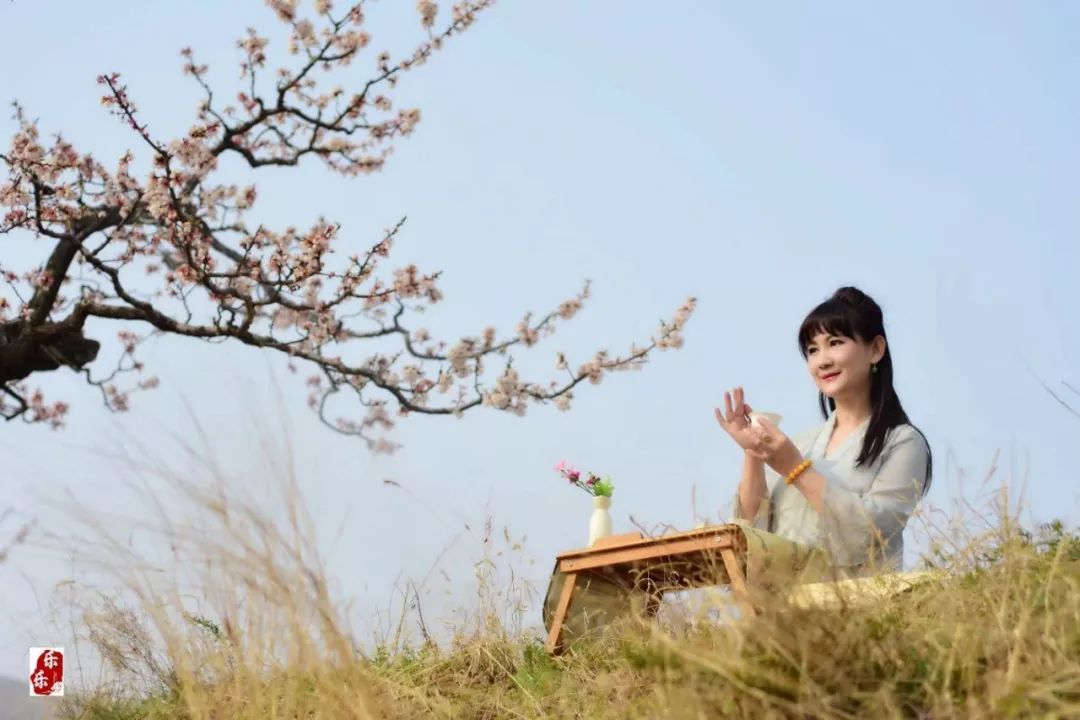 如何泡紫阳富硒茶喝好喝