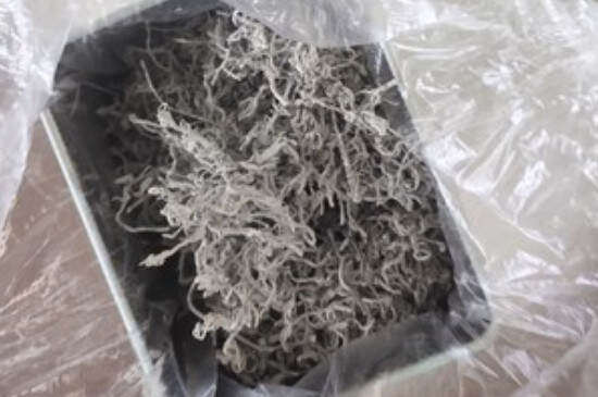湖北恩施藤茶的功效与作用_血糖高喝藤茶有用吗？