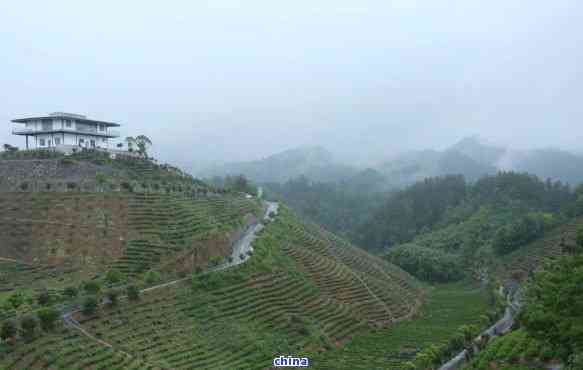 富含硒的茶叶有哪些名字，探寻富含硒的茶叶：种类与营养价值解析