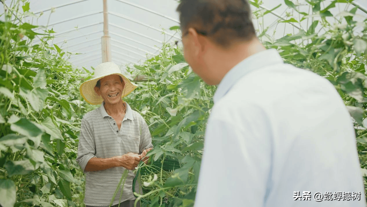 紫阳富硒茶哪家好喝点?。ㄗ涎舾晃韬慷嗌伲?硒宝网