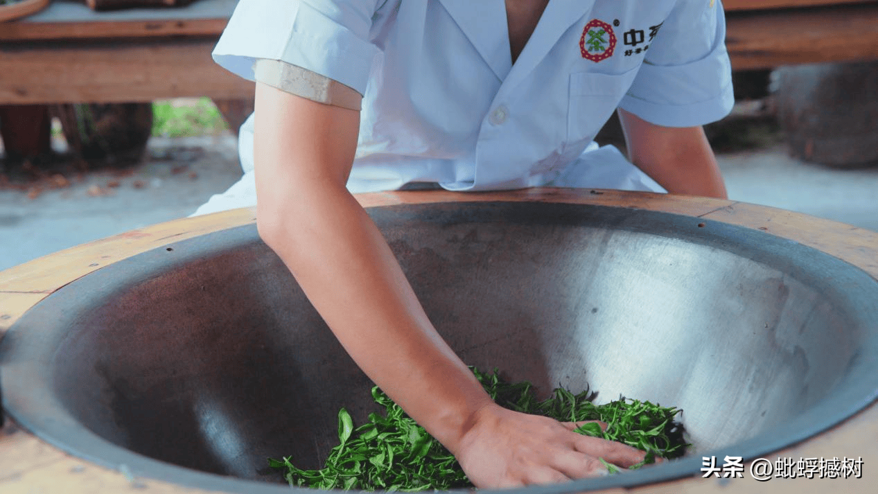 紫阳富硒茶哪家好喝点?。ㄗ涎舾晃韬慷嗌伲?硒宝网