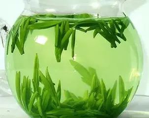 紫阳富硒茶和毛尖的区别