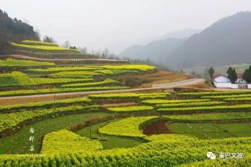 西安卖紫阳富硒茶的地方