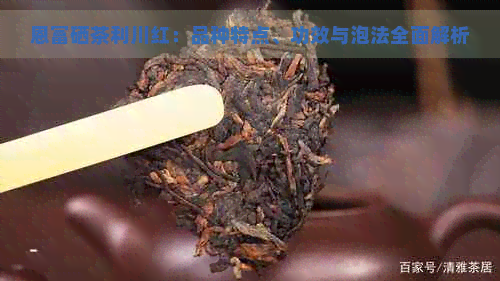 恩富硒茶利川红：品种特点、功效与泡法全面解析
