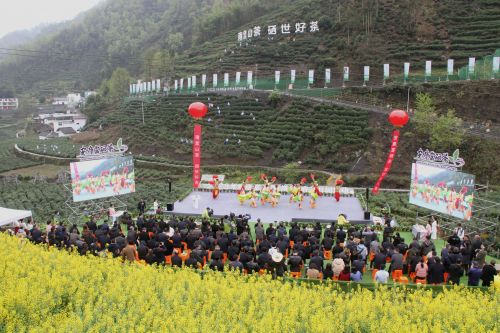 岚皋富硒茶在哪买的好啊(富硒茶叶多少钱一斤)-硒宝网