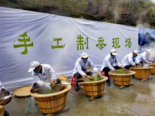 岚皋富硒茶在哪买的好?。ǜ晃枰抖嗌偾唤铮?硒宝网