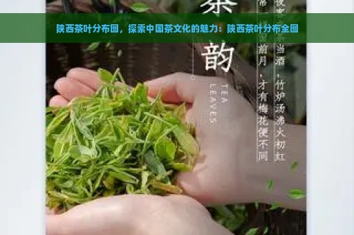 陕西茶叶分布图，探索中国茶文化的魅力：陕西茶叶分布全图