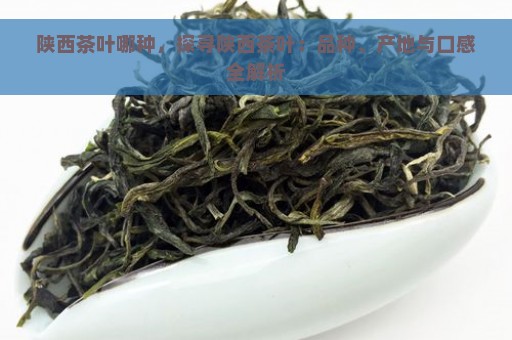 陕西茶叶哪种，探寻陕西茶叶：品种、产地与口感全解析