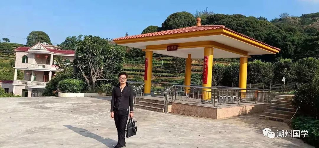 明前陕西紫阳富硒茶价格