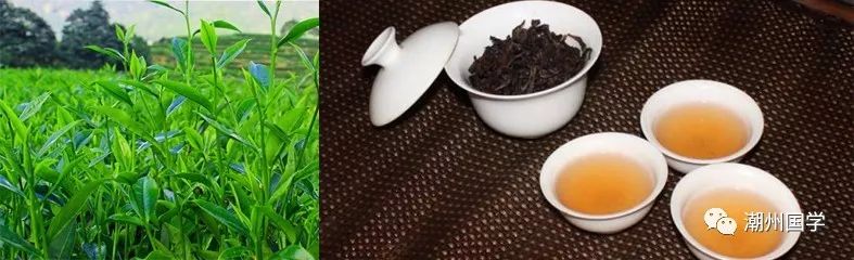 明前陕西紫阳富硒茶价格