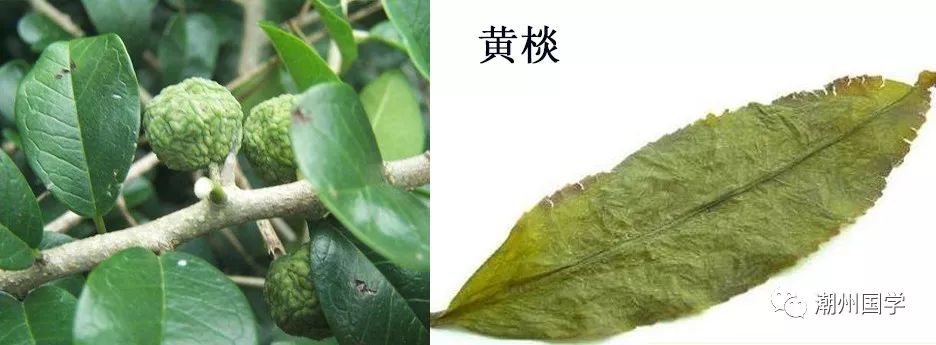 明前陕西紫阳富硒茶价格