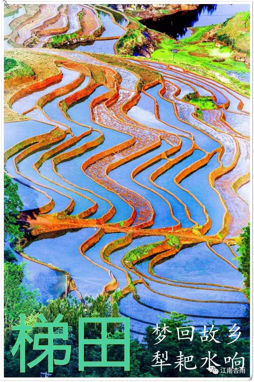 玉露和富硒茶哪个好喝点