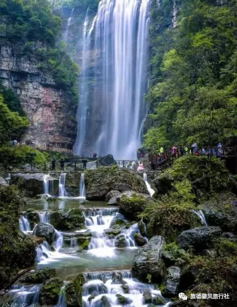 恩施富硒茶是什么茶精华