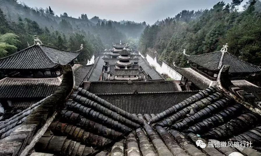 恩施富硒茶是什么茶精华