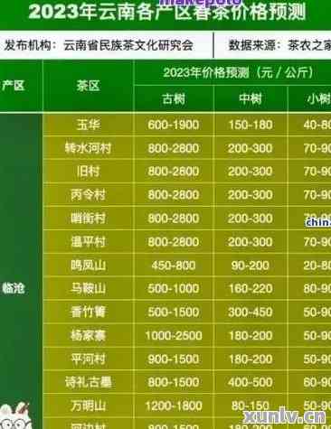 新疆富硒普洱茶价格多少(新疆茶叶好吗)-硒宝网