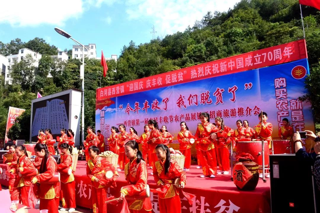 安康富硒茶建设项目进展
