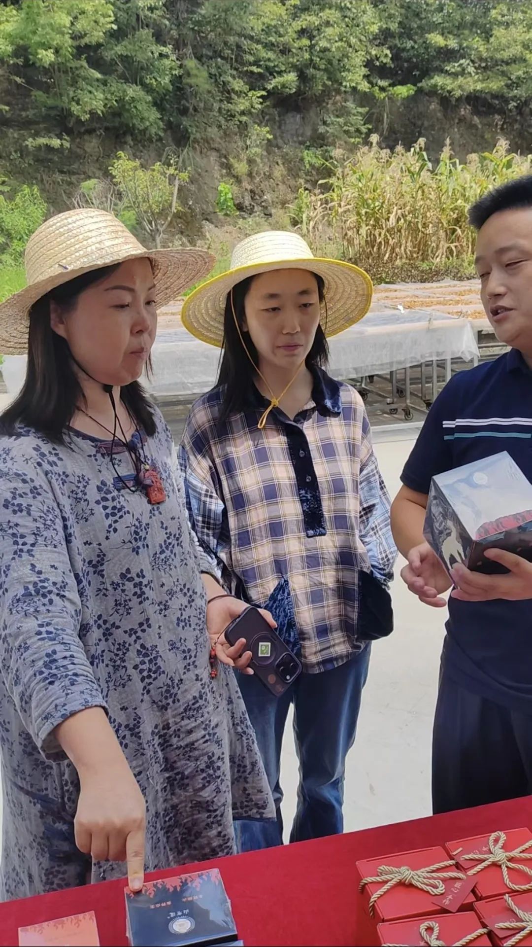 西安紫阳富硒茶在哪里卖