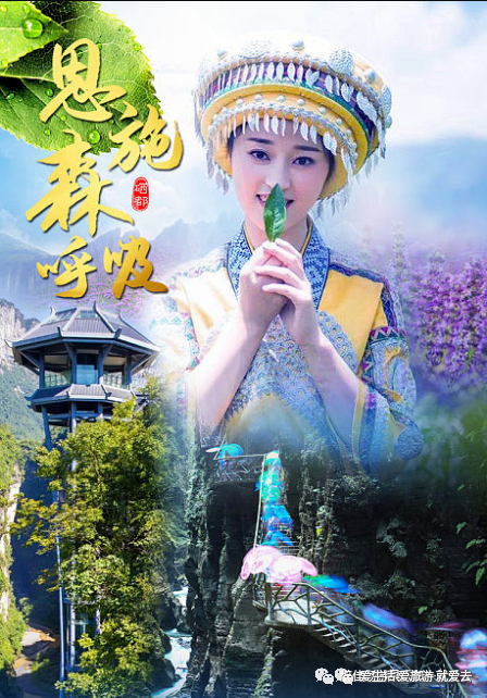 如何在恩施当地买富硒茶