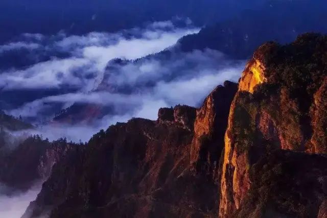 如何在恩施当地买富硒茶