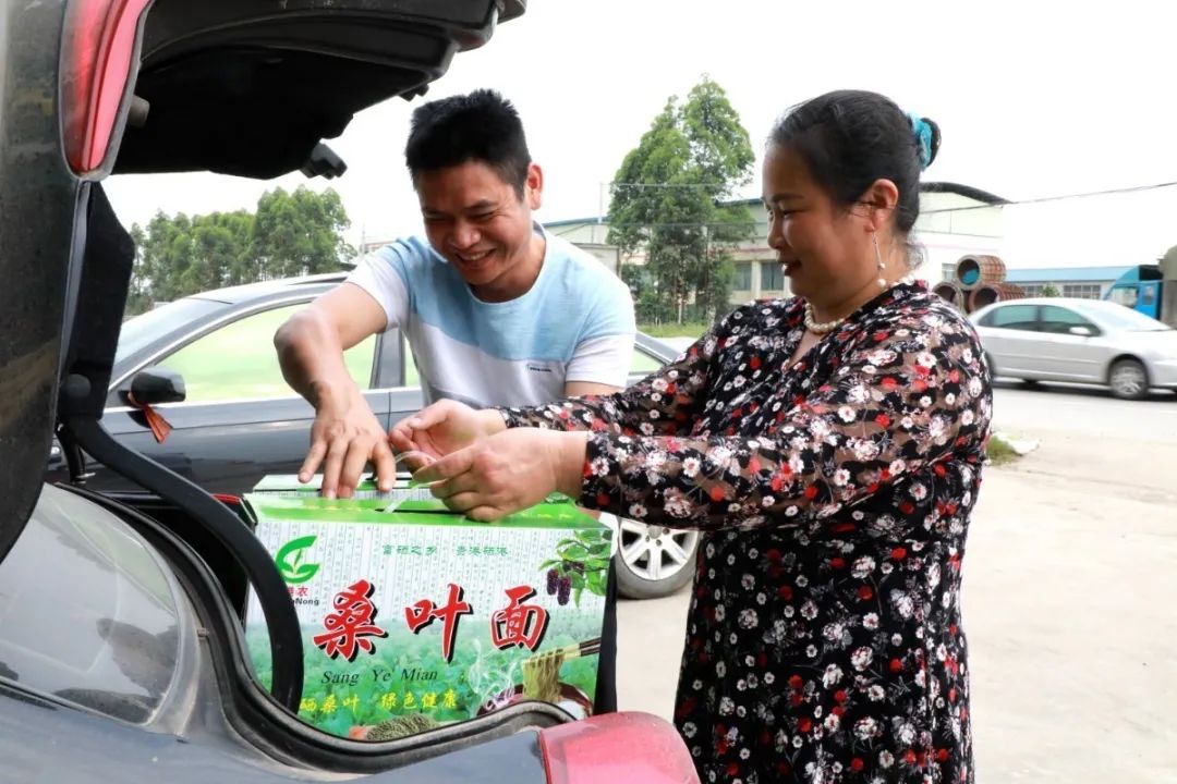 广西贵港港农桑叶茶富硒