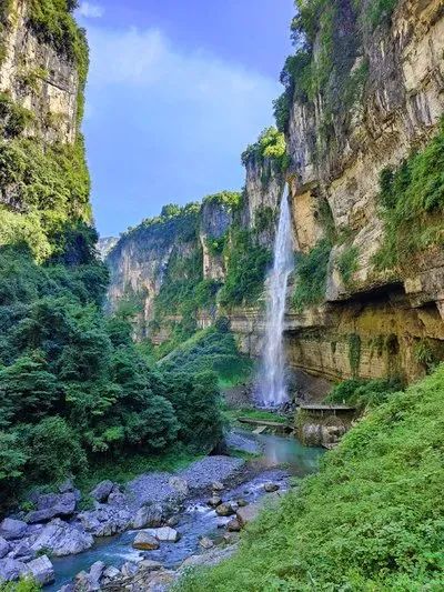 如何在恩施当地买富硒茶