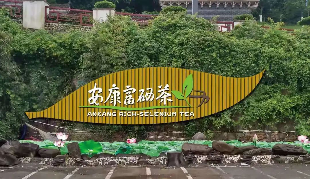 安康富硒茶销售培训中心