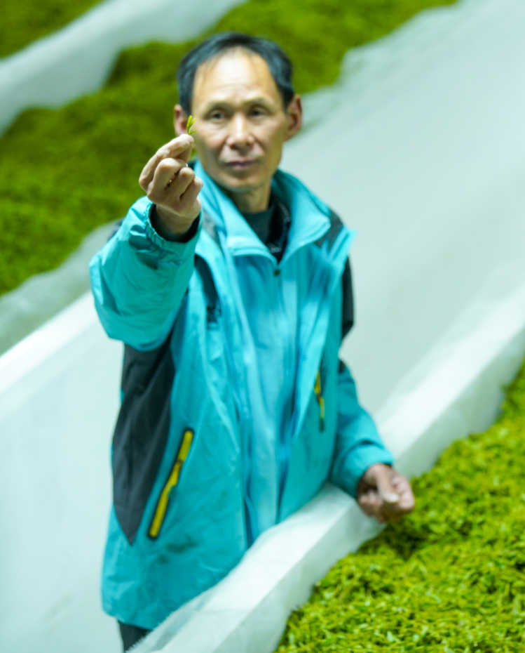 富硒茶恩施玉露哪里有卖