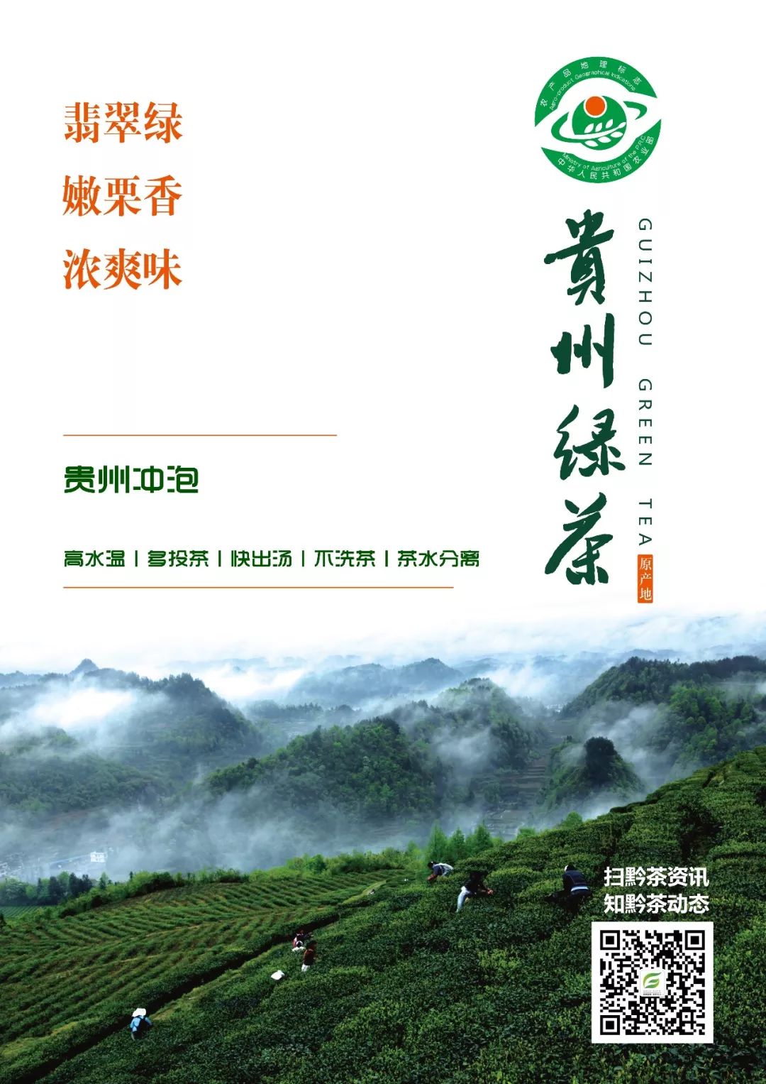 贵州哪些地方产富硒茶呢(贵州富硒绿茶)-硒宝网