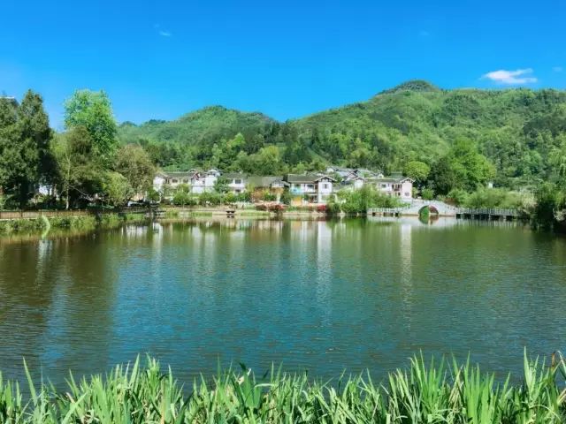 贵州哪些地方产富硒茶呢(贵州富硒绿茶)-硒宝网