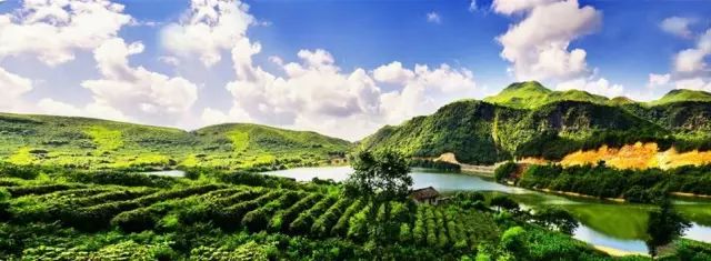 贵州哪些地方产富硒茶呢